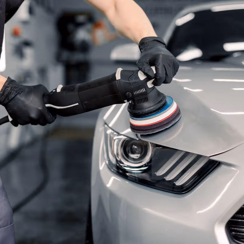 Delice Oto Pasta Cila